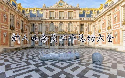 新人业务员工作总结大全 新人业务员工作总结大全范文