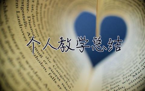 个人教学总结 个人教学总结2023