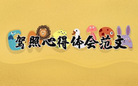 驾照心得体会范文（优选12篇）