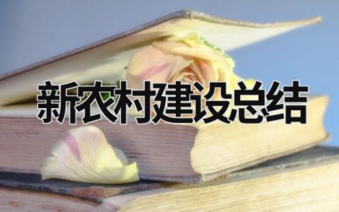 新农村建设总结 新农村建设总结报告 (21篇）