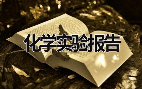 化学实验报告 化学实验报告初中 (21篇）