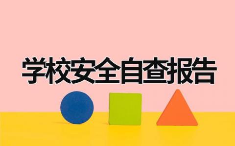 学校安全自查报告 学校安全自查报告范文 (18篇）