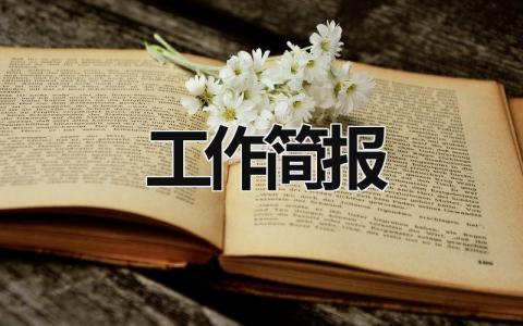 工作简报 工作简报的标准格式 (17篇）