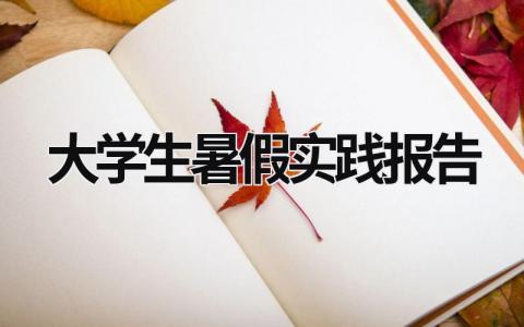 大学生暑假实践报告 大学生暑假实践报告1000字 (21篇）