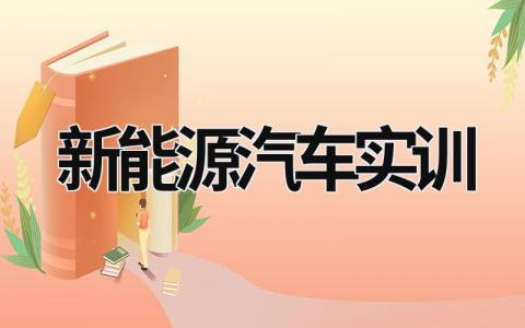 新能源汽车实训 新能源汽车实训日志 (16篇）