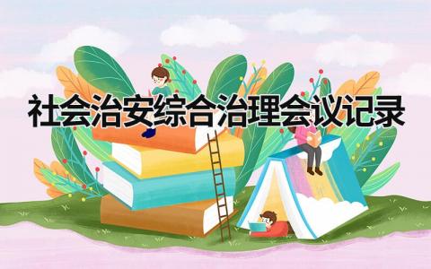 社会治安综合治理会议记录 社会治安综合治理会议记录内容 (9篇）