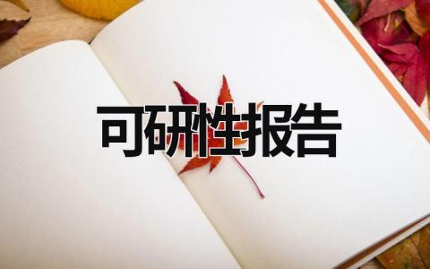 可研性报告 什么是可研性报告 (15篇）