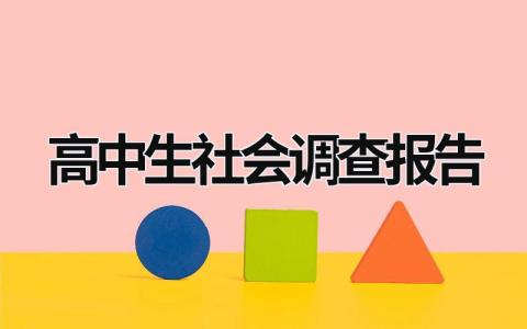 高中生社会调查报告 高中生社会调查报告模板范文 (18篇）