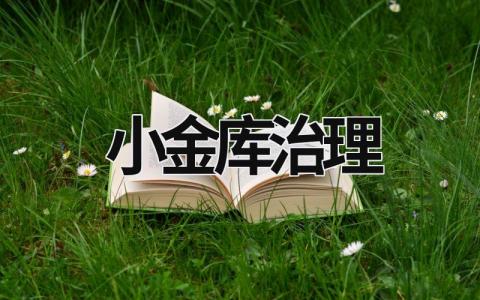 小金库治理 小金库治理工作的强化源头治理应采取的措施有 (9篇）