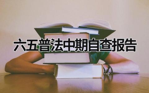 六五普法中期自查报告 六五普法主要任务 (15篇）