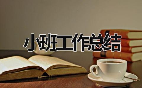 小班工作总结 小班工作总结下学期 (21篇）