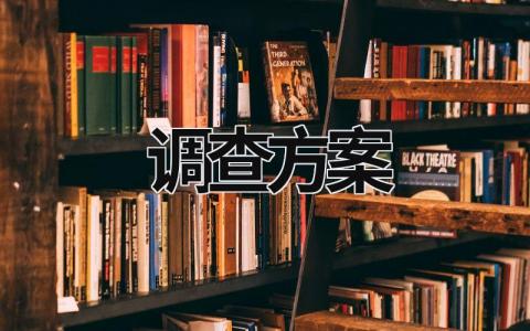 调查方案 调查方案的六个基本内容 (15篇）