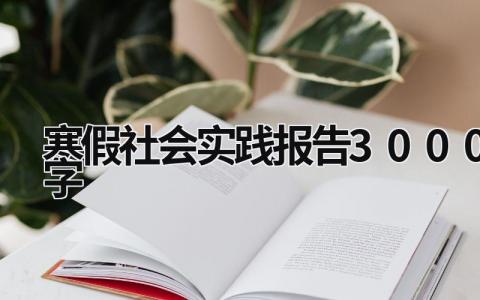 寒假社会实践报告3000字 寒假社会实践报告3000字 大学生免费 (18篇）