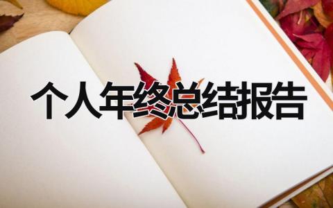 个人年终总结报告 个人年终总结报告范文 (18篇）