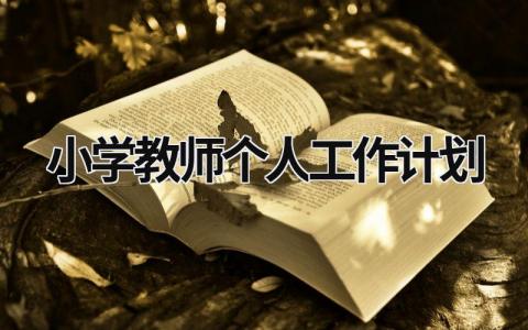 小学教师个人工作计划 小学教师个人工作计划范文简短 (15篇）