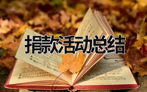 捐款活动总结 捐款活动总结和感受250字作文 (19篇）