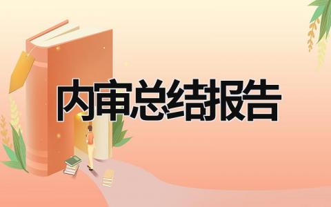 内审总结报告 内审总结报告模板 (12篇）