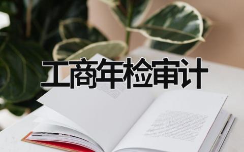 工商年检审计 工商年检审计报告多少钱 (12篇）