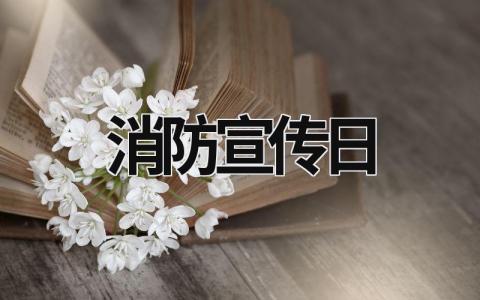 2023年消防宣传日 2023年消防宣传日 (17篇）