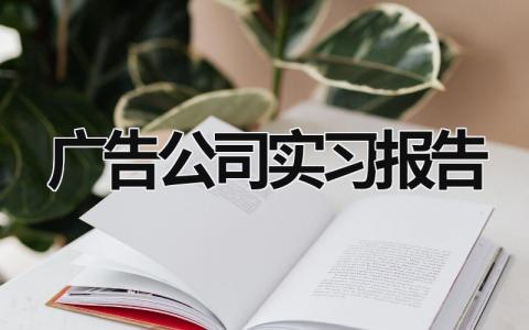 广告公司实习报告 广告公司社会实践报告3000字 (16篇）