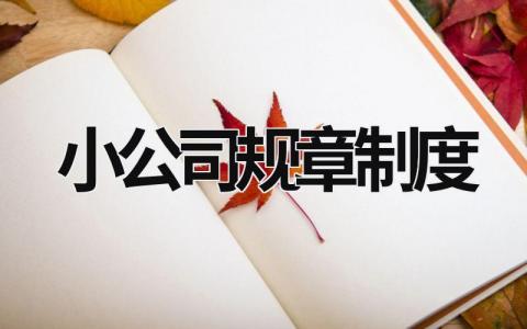 小公司规章制度 小公司规章制度大全 (16篇）