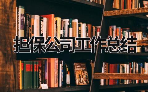 担保公司工作总结 担保公司工作总结报告 (18篇）