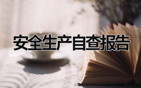 安全生产自查报告 供销社安全生产自查报告 (17篇）