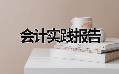 会计实践报告 会计实践报告模板及范文3000字 (18篇）