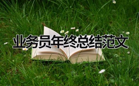 业务员年终总结范文  (16篇）