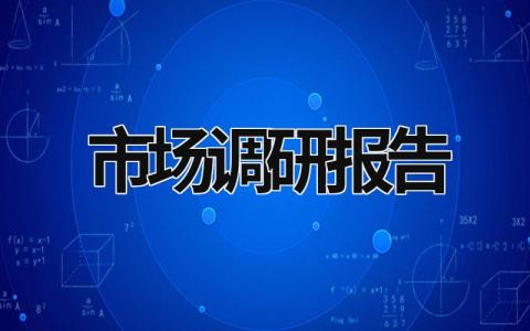 市场调研报告 市场调研报告的内容 (16篇）