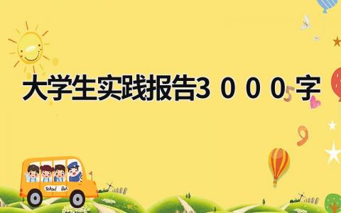 大学生实践报告3000字 大学生实践报告3000字 (17篇）