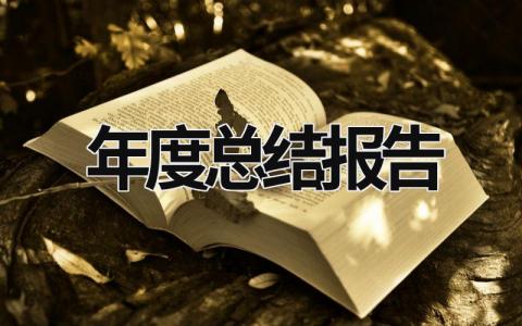 年度总结报告 年度总结报告怎么写 (15篇）