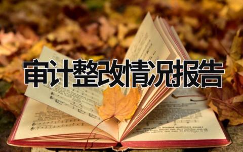 审计整改情况报告 审计整改情况报告3篇 (14篇）