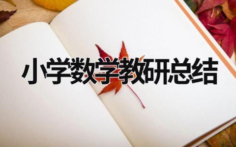 小学数学教研总结  (20篇）