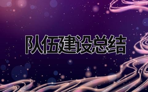 队伍建设总结 人才队伍建设总结 (16篇）