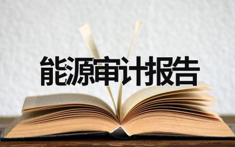 能源审计报告 能源审计报告如何编写 (11篇）