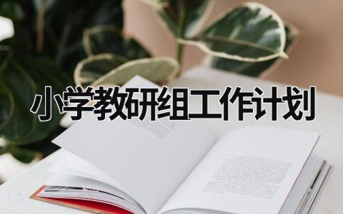 小学教研组工作计划 小学教研组工作计划2023 (21篇）