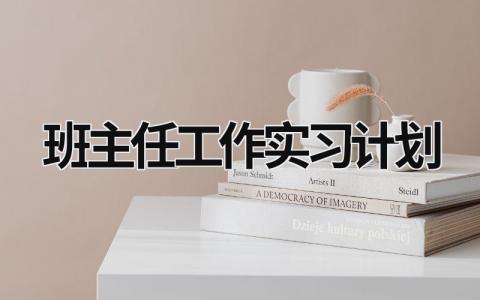 班主任工作实习计划 中职班主任工作计划 (19篇）