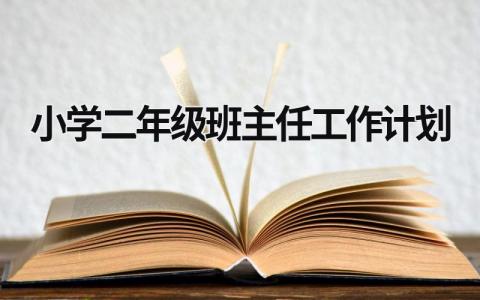 小学二年级班主任工作计划 小学二年级班主任工作计划第一学期农村学校 (21篇）