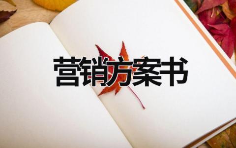 营销方案书  (16篇）