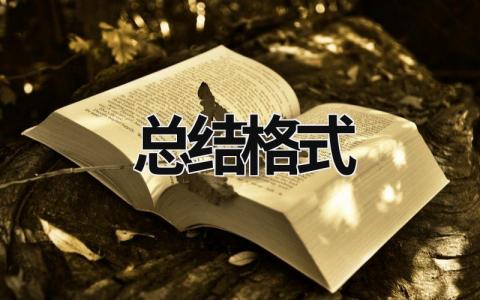 总结格式 个人总结格式 (15篇）
