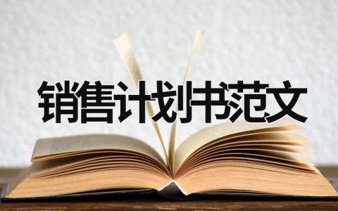 销售计划书范文 销售计划书范文400字 (13篇）