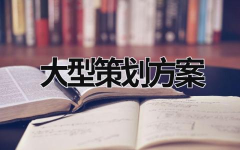 大型策划方案 大型活动方案策划书 (16篇）