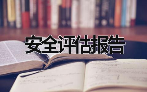 安全评估报告 安全评估报告有效期的规定 (17篇）