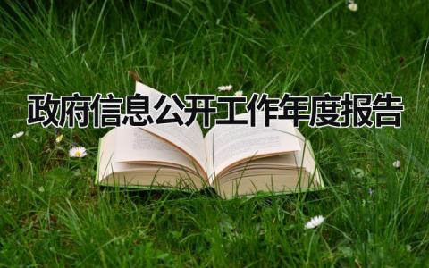 政府信息公开工作年度报告 应当公布政府信息公开工作年度报告 (11篇）