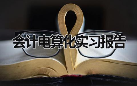 会计电算化实习报告 会计电算化实训报告书 (17篇）