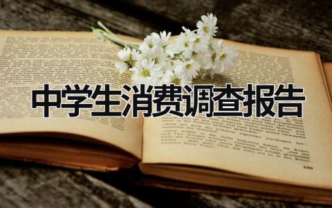 中学生消费调查报告 中学生消费调查报告200 (19篇）