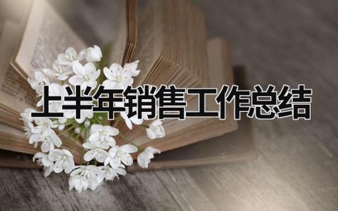 上半年销售工作总结 上半年销售工作总结汇报ppt (15篇）