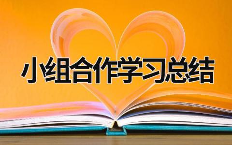 小组合作学习总结  (17篇）