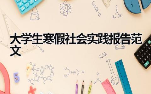 大学生寒假社会实践报告范文 大学生寒假社会实践报告2021 (16篇）